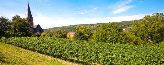 Weinberg Weinberg